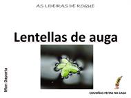 Lentellas de auga